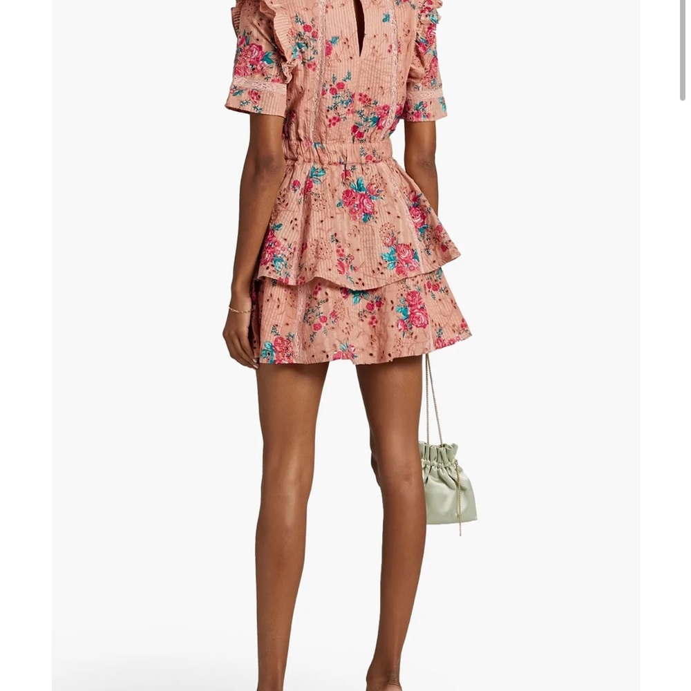 Beautiful Walter Baker Ivette Dress in Botanical Eyelet - Picture 3 of 15